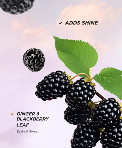 Perfume Lavender - Benefits 1